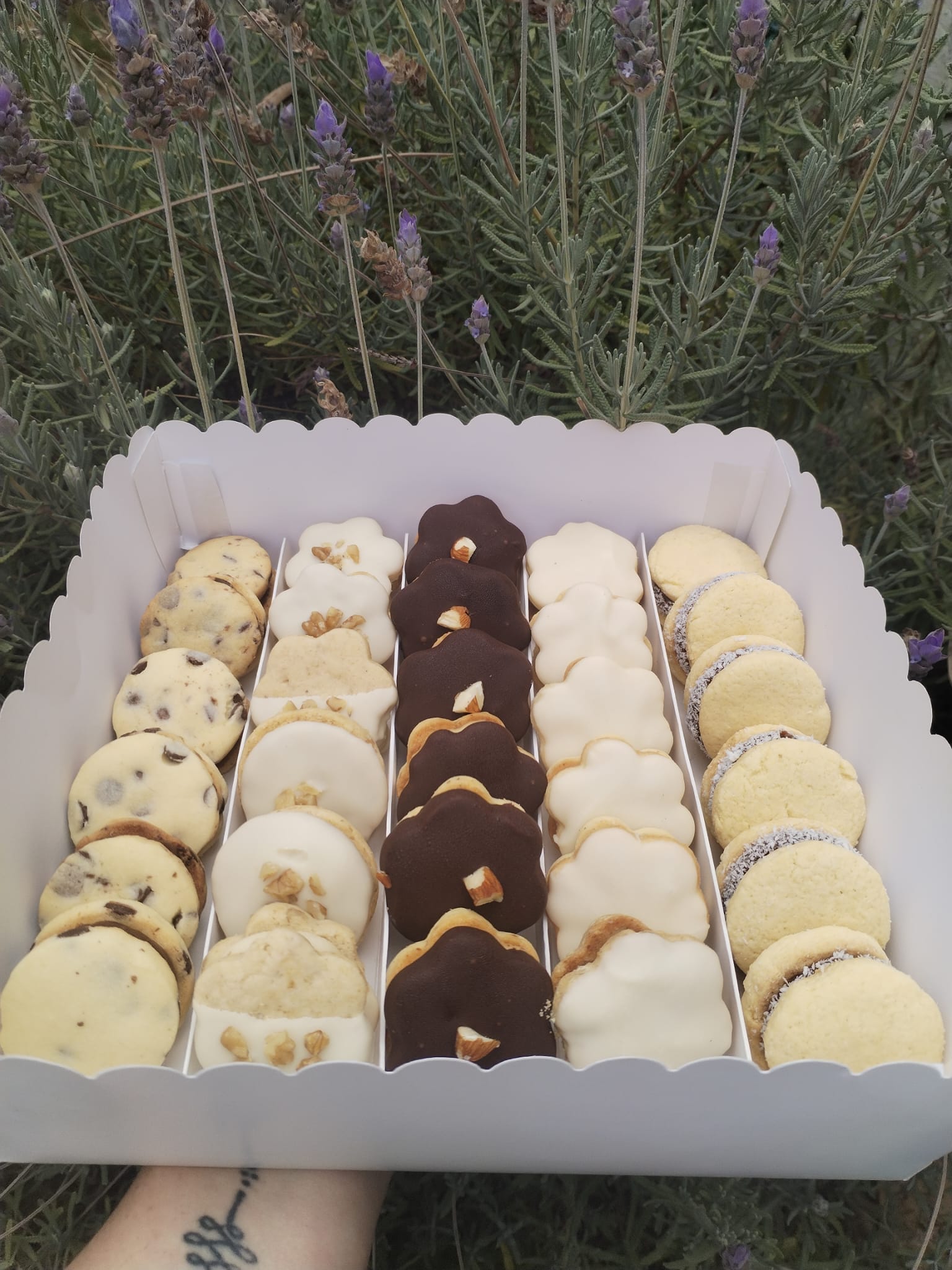 Box de alfajores grande